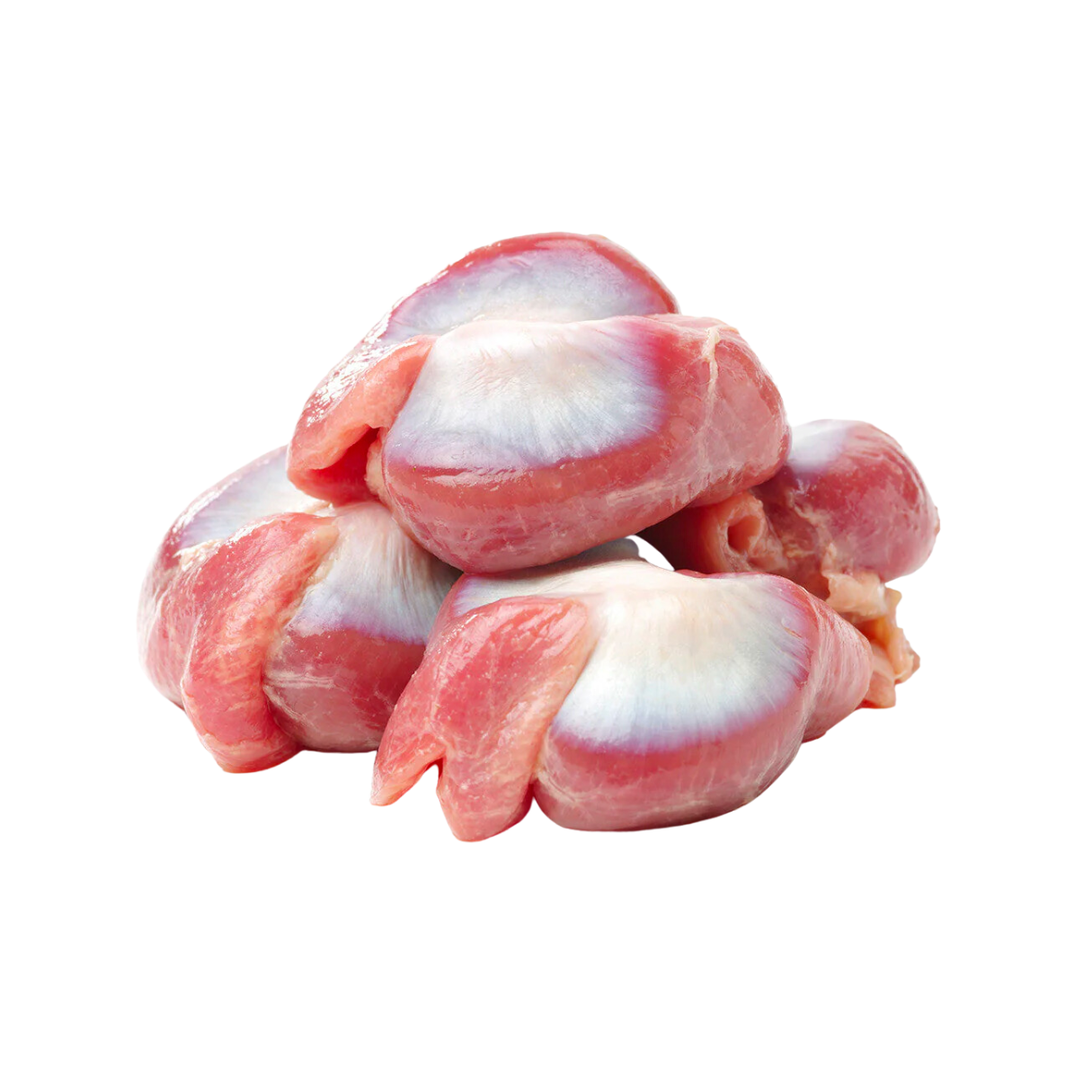 Turkey Gizzard (per g) // RAW