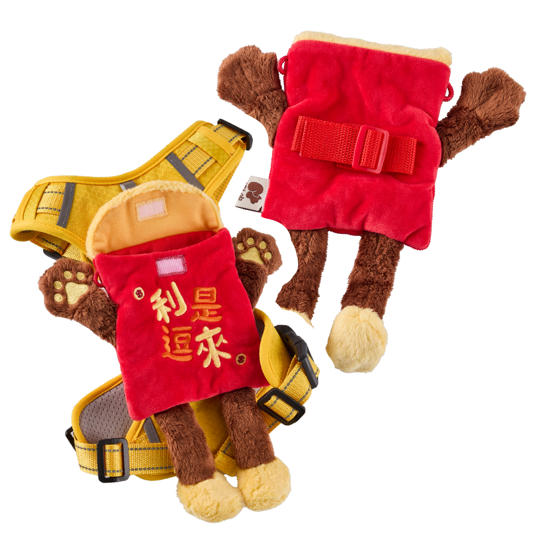 CNY RED POCKET BAG