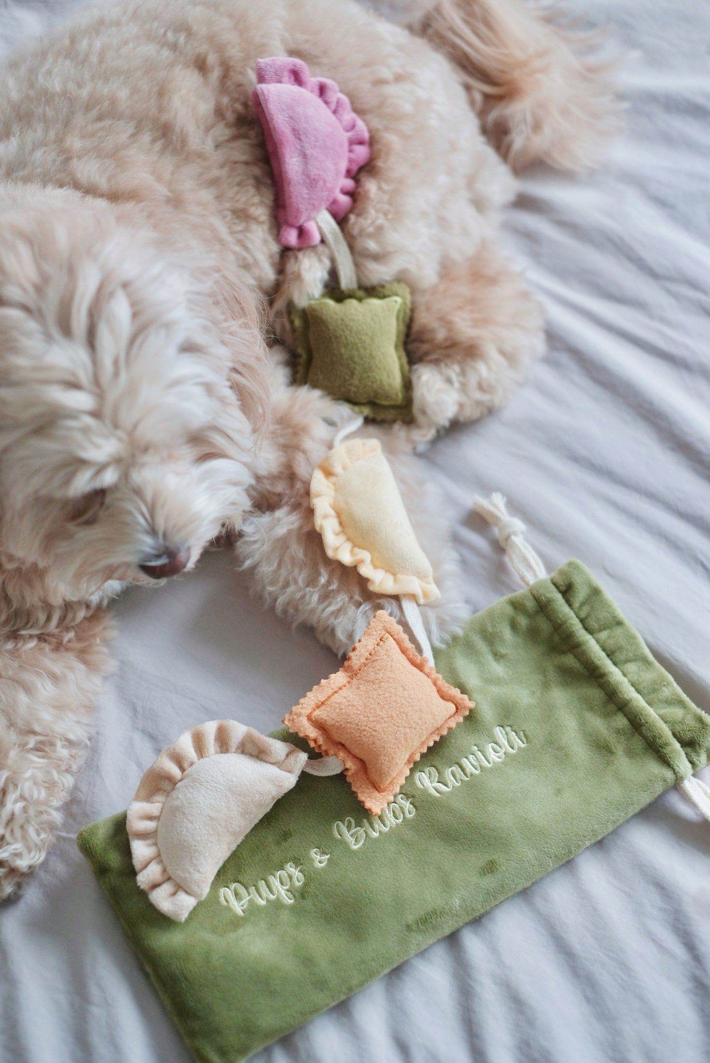 RAVIOLI // nosework toy