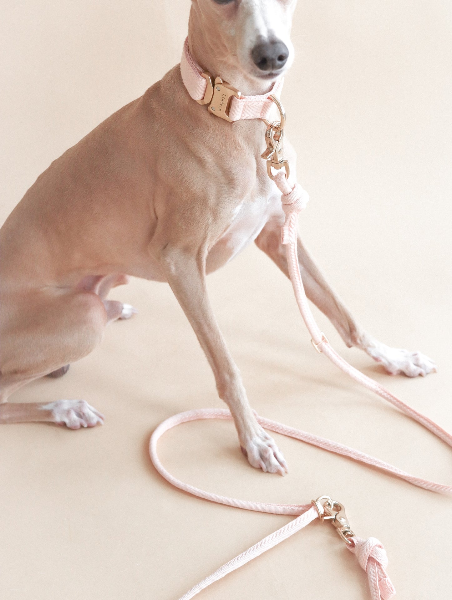 LINJE // crossbody leash