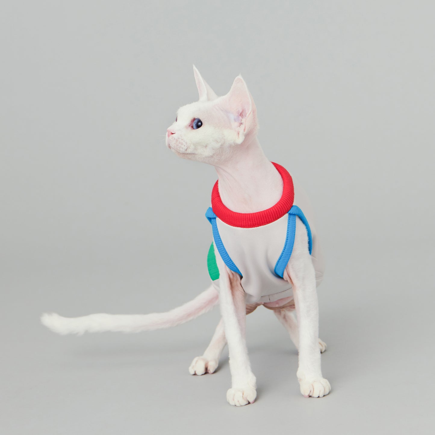 ASTEROID // cooling vest