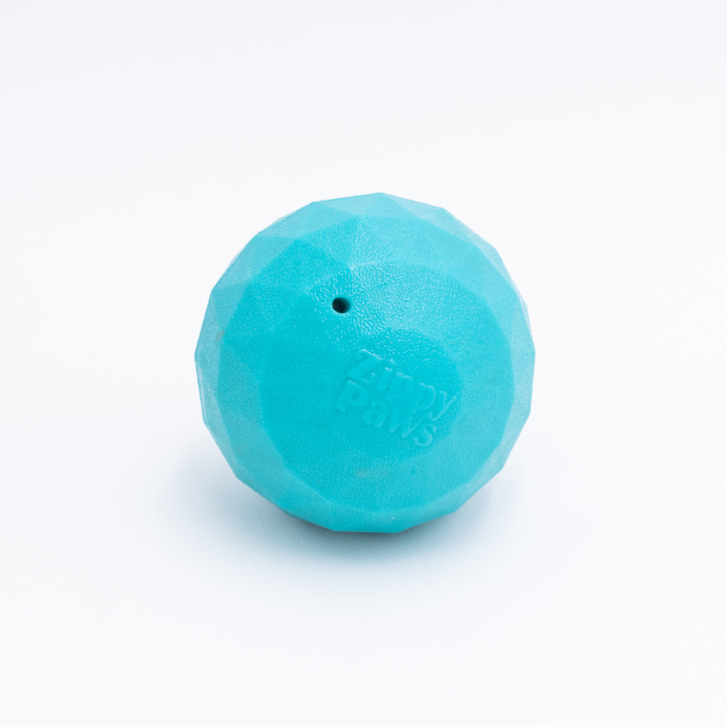 WAGGLE BALL JUMBO // ZippyTuff toy