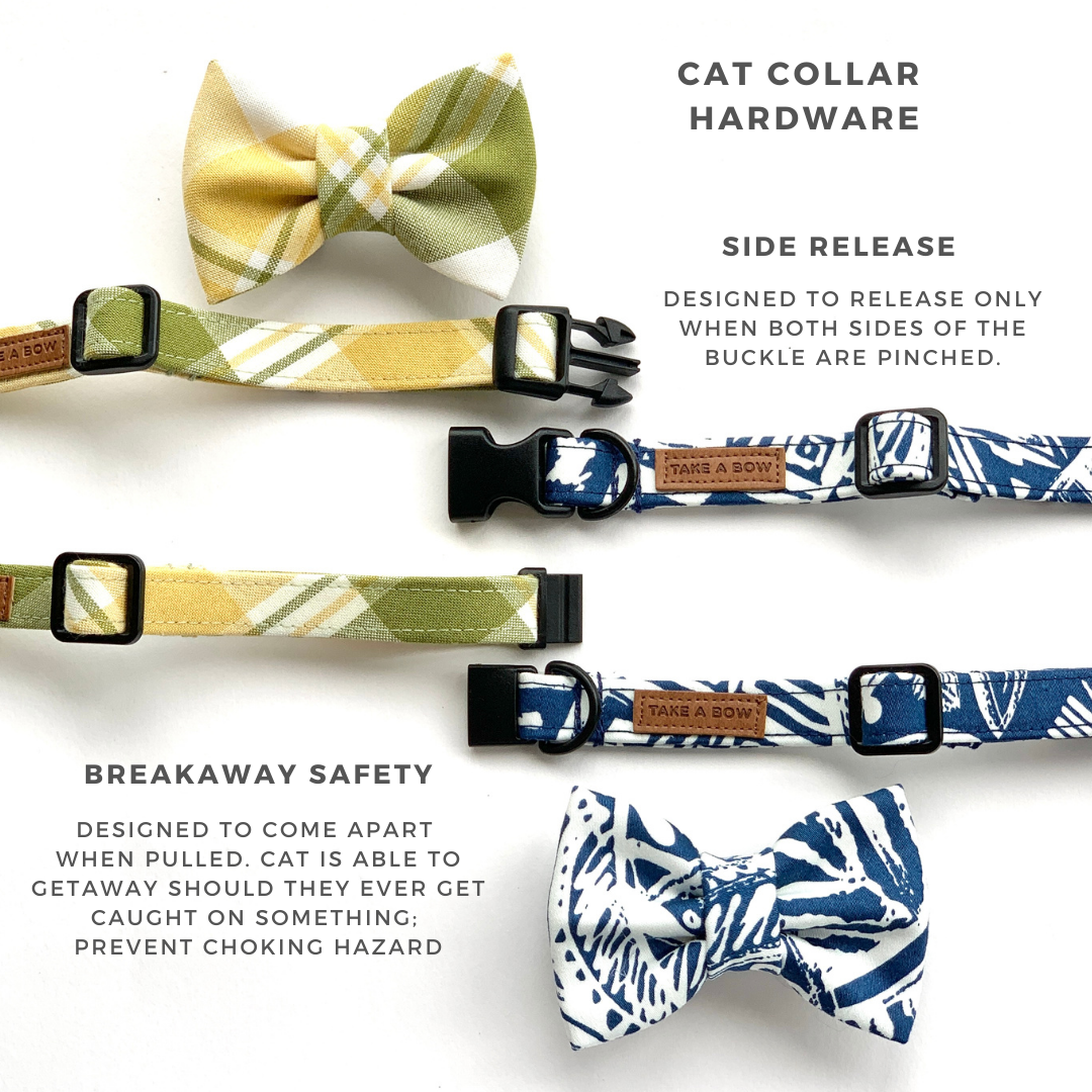BLED // collar