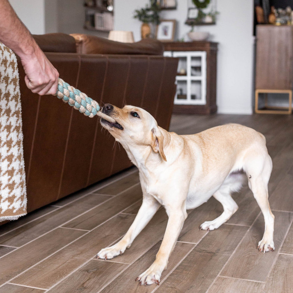JUTE TUG // ecoZippy toy
