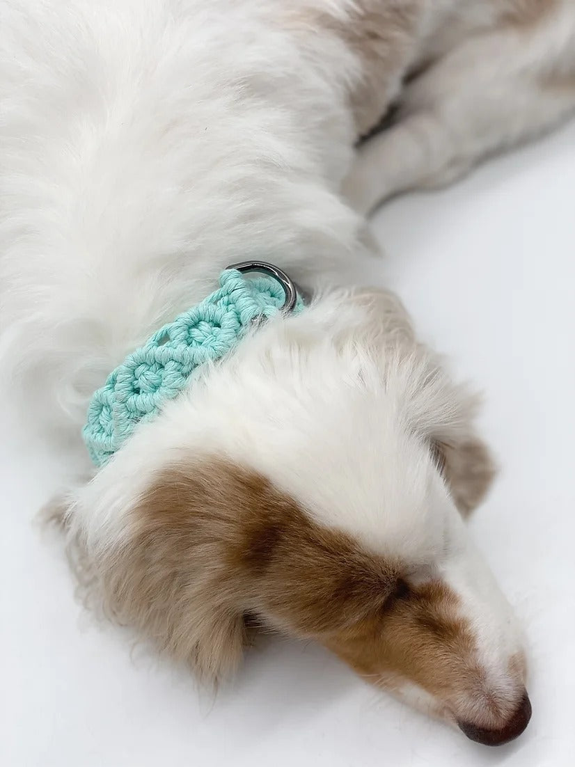 FLOS // adjustable martingale collar