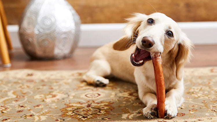 Chew Treats