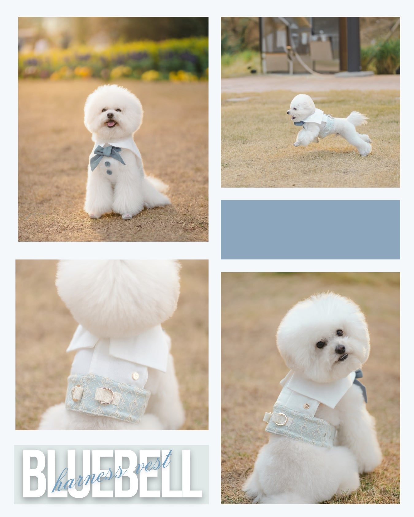 BLUEBELL // harness vest