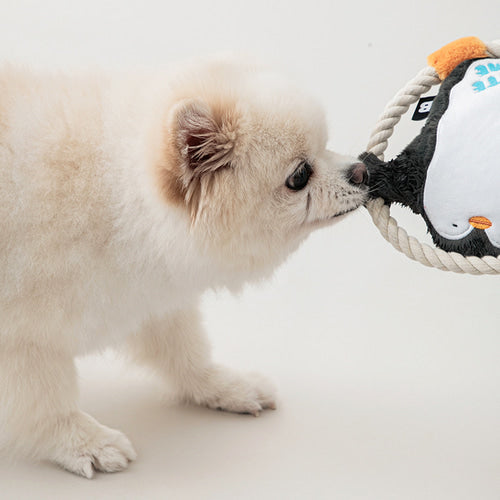 PENGUIN HUG // tug toy