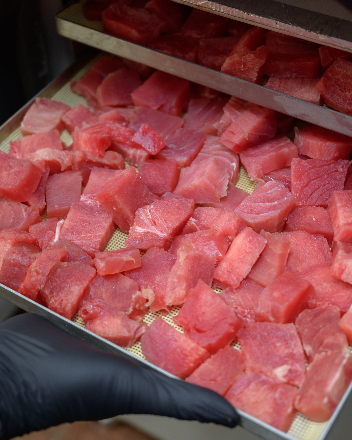 Chunky Tuna (per g) // 慢吞吞（每克）