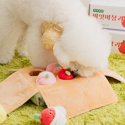 MIXED FRUITS BOX // nosework toy