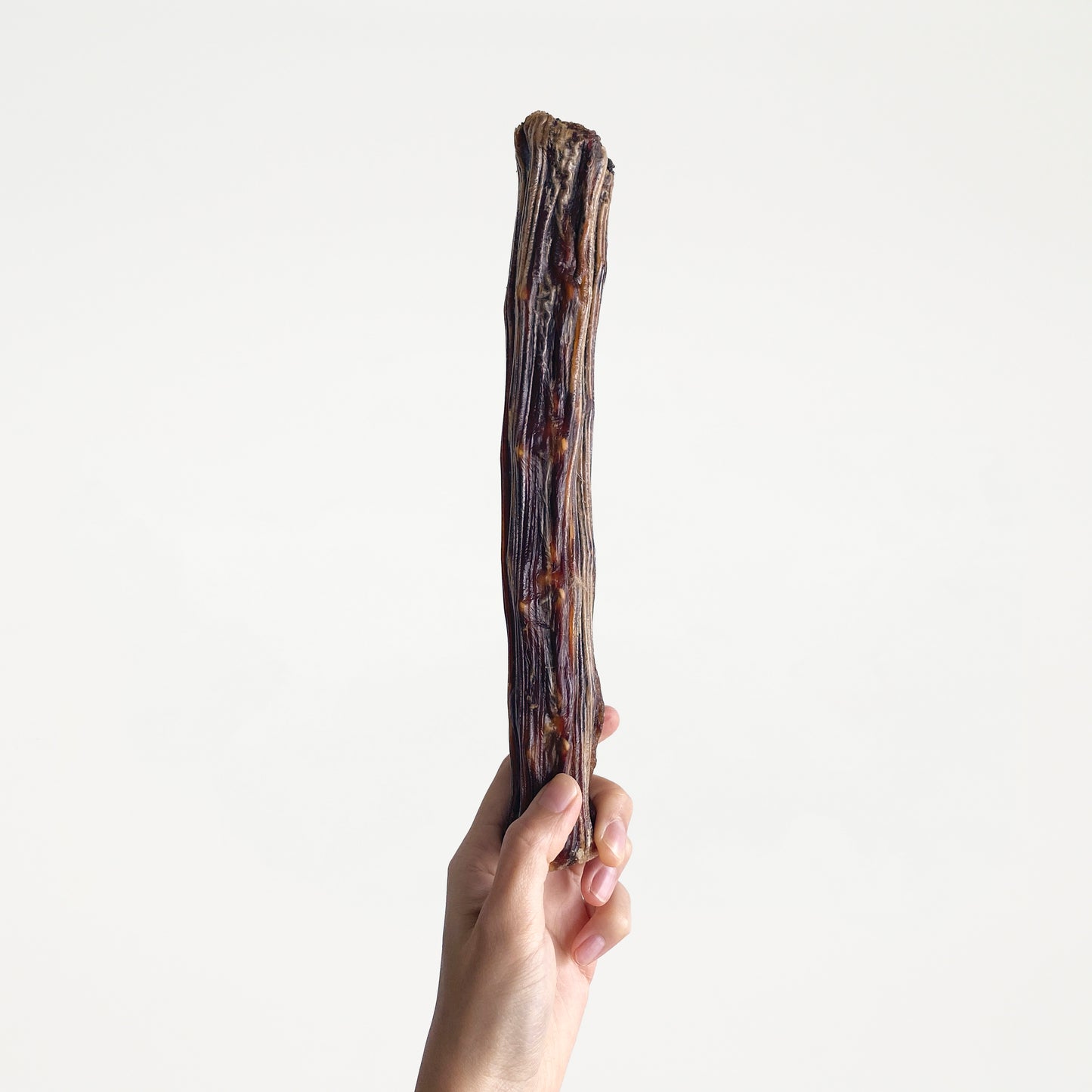 Kangaroo Tail // 拜拜你條尾