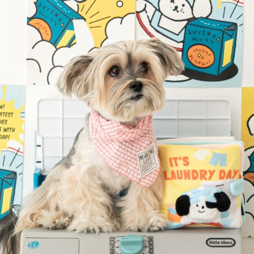 LAUNDRY DAY // nosework book toy