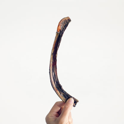 Kangaroo Ribs (per g) // 袋鼠肋骨（每克）