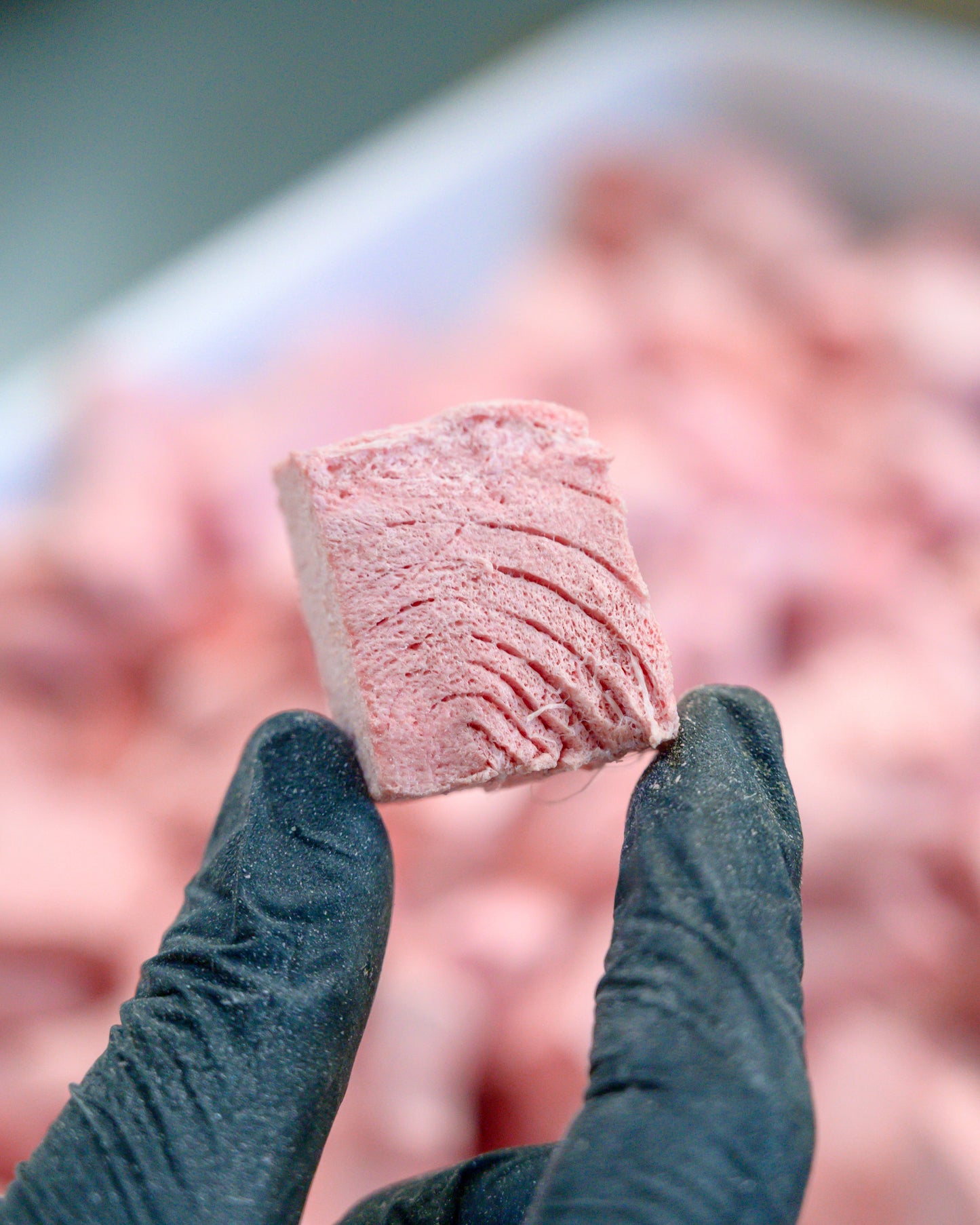 Chunky Tuna (per g) // 慢吞吞（每克）