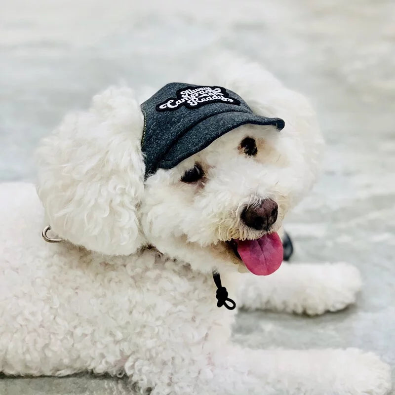Two-tone Timeless Grey // dog hat