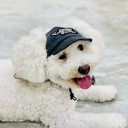 Two-tone Timeless Grey // dog hat