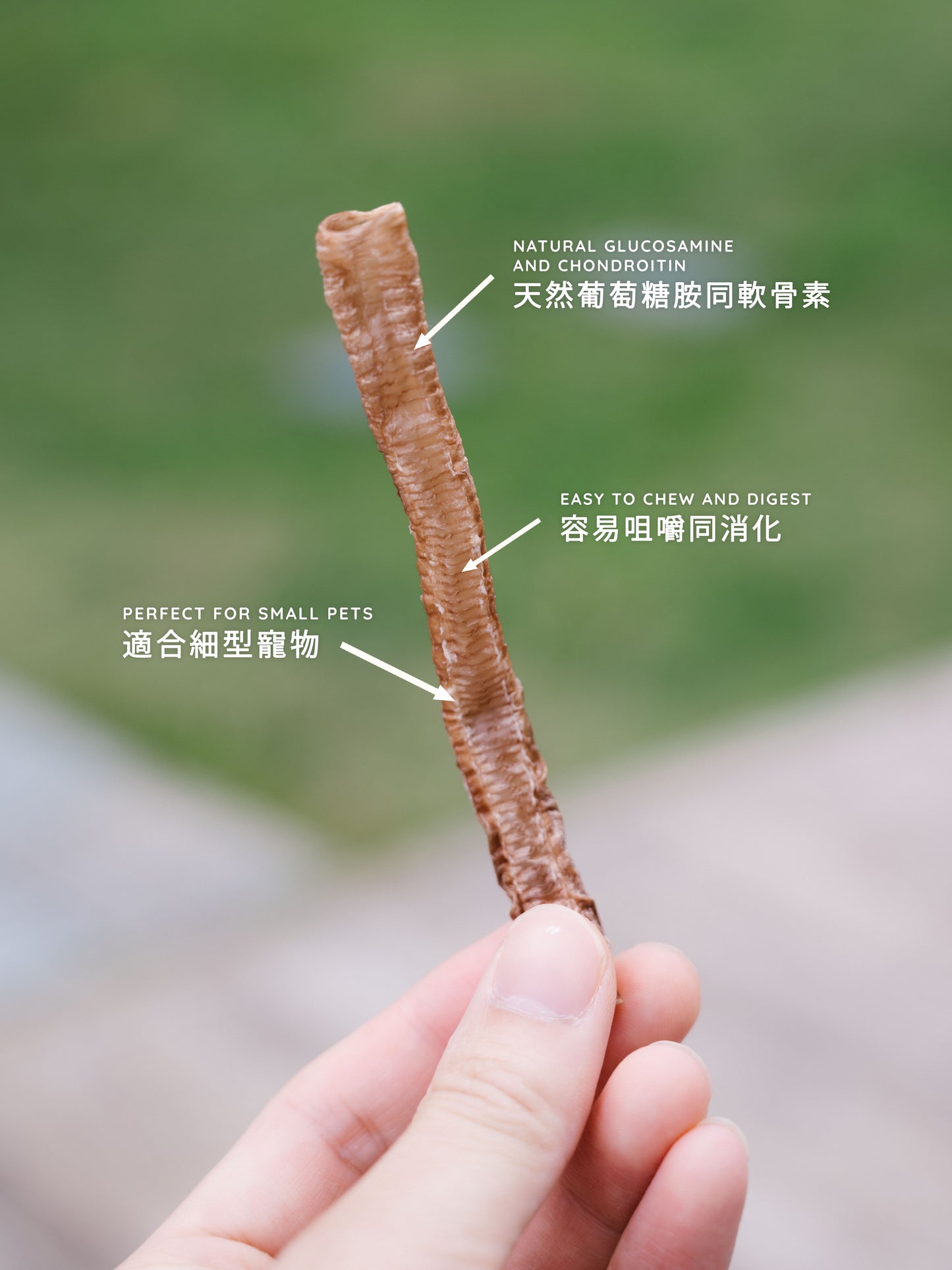 Duck Trachea (per g) //  鴨氣管 (每克)