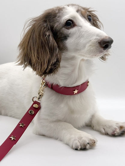STELLA STUD // regular leash