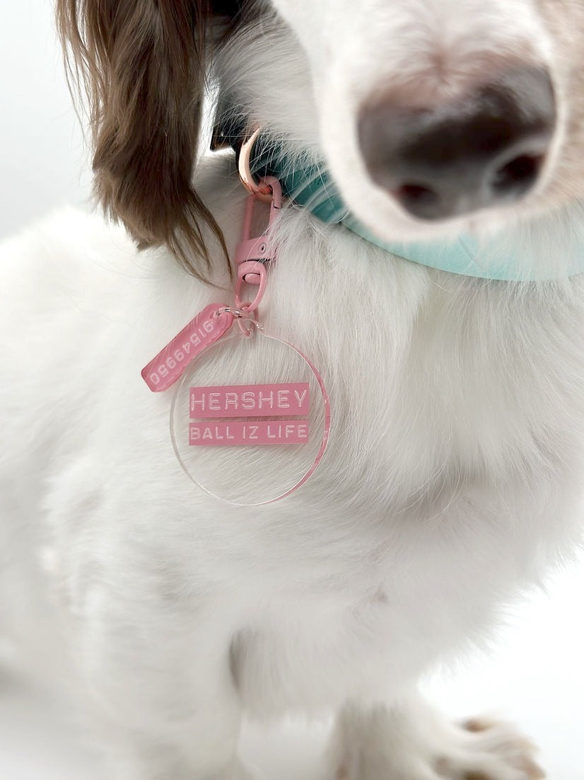 LABEL // name tag