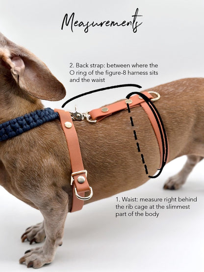 PVC waist strap // escape resistant add-on