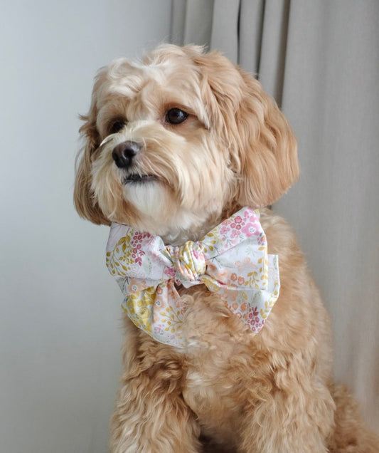 BLUSH MELLOW // bow
