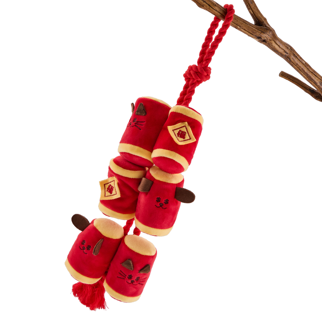 CNY FIRECRACKERS // nosework toy