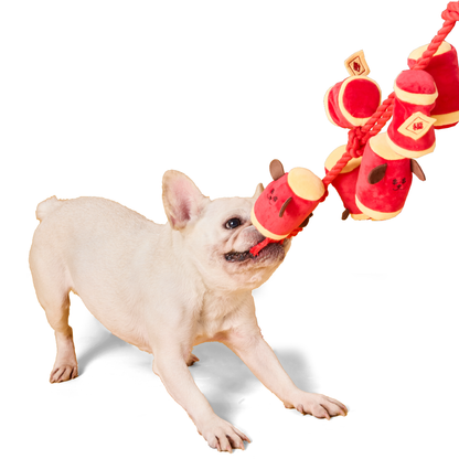 CNY FIRECRACKERS // nosework toy
