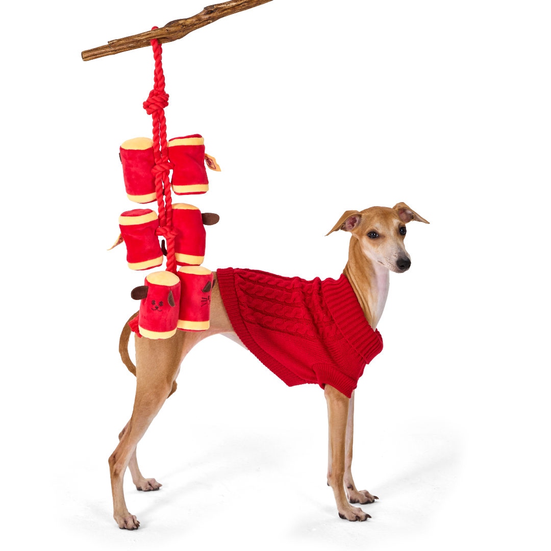 CNY FIRECRACKERS // nosework toy