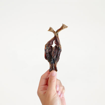 Froggy Legs // 騰雞田雞腳