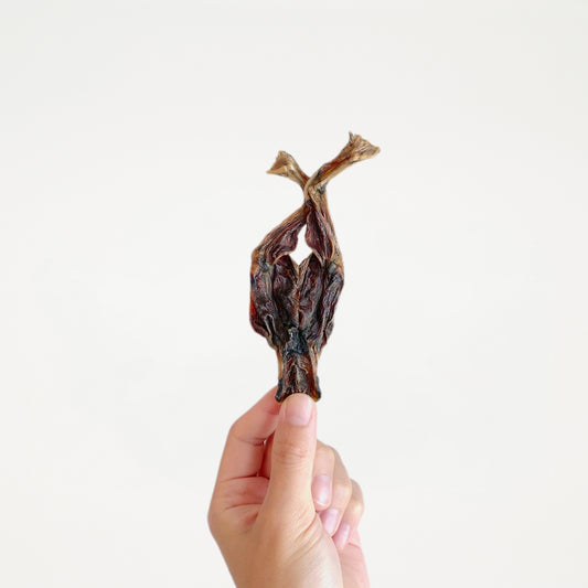Froggy Legs // 騰雞田雞腳