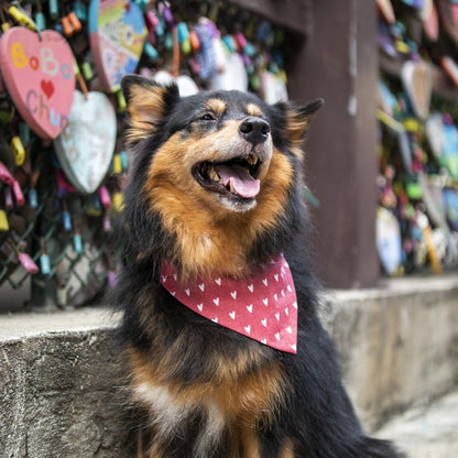 MILLIE HEARTS // bandana
