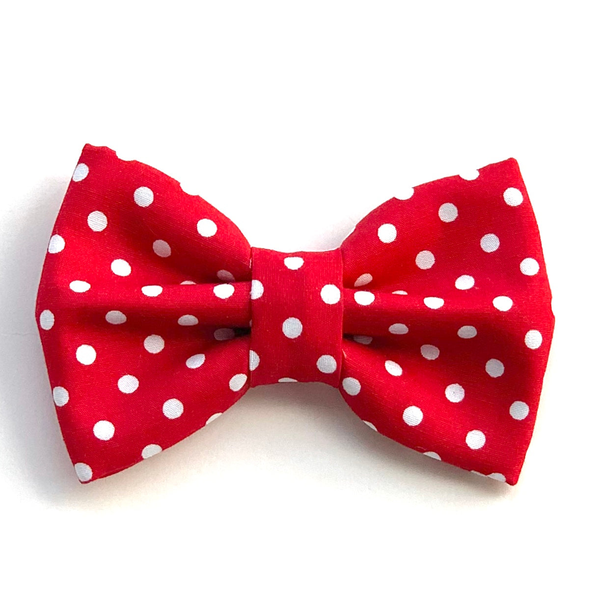 MINNIE DOTS // bow