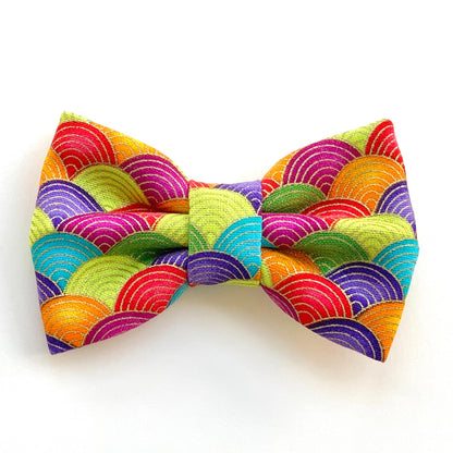 FORTUNE NAMI RAINBOW // bow