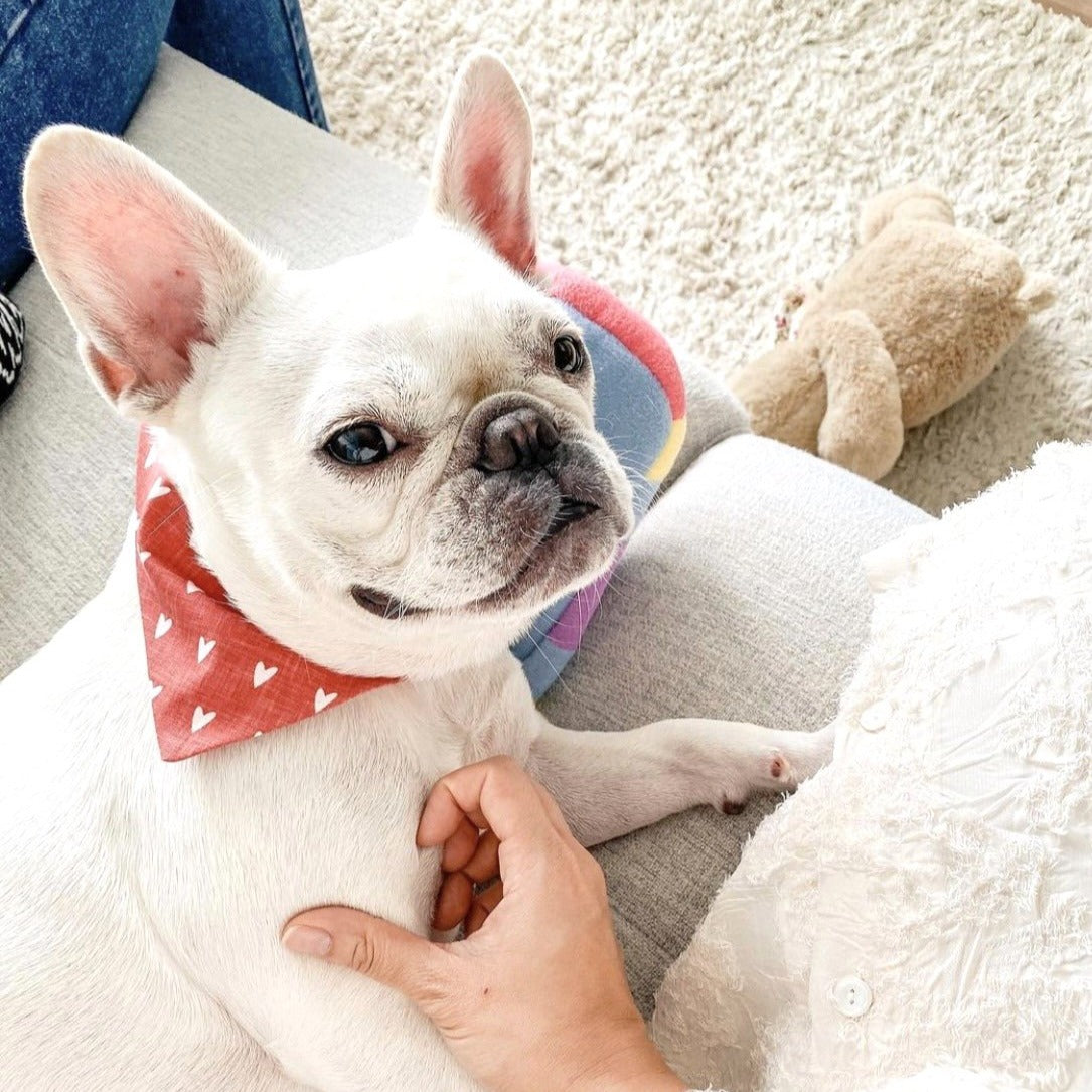 MILLIE HEARTS // bandana
