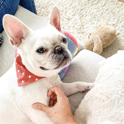 MILLIE HEARTS // bandana
