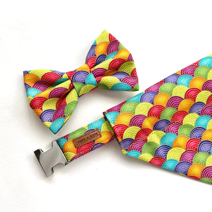 FORTUNE NAMI RAINBOW // collar