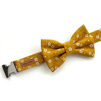 TINY KARASHI // collar
