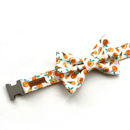 PEACHY CONE // collar
