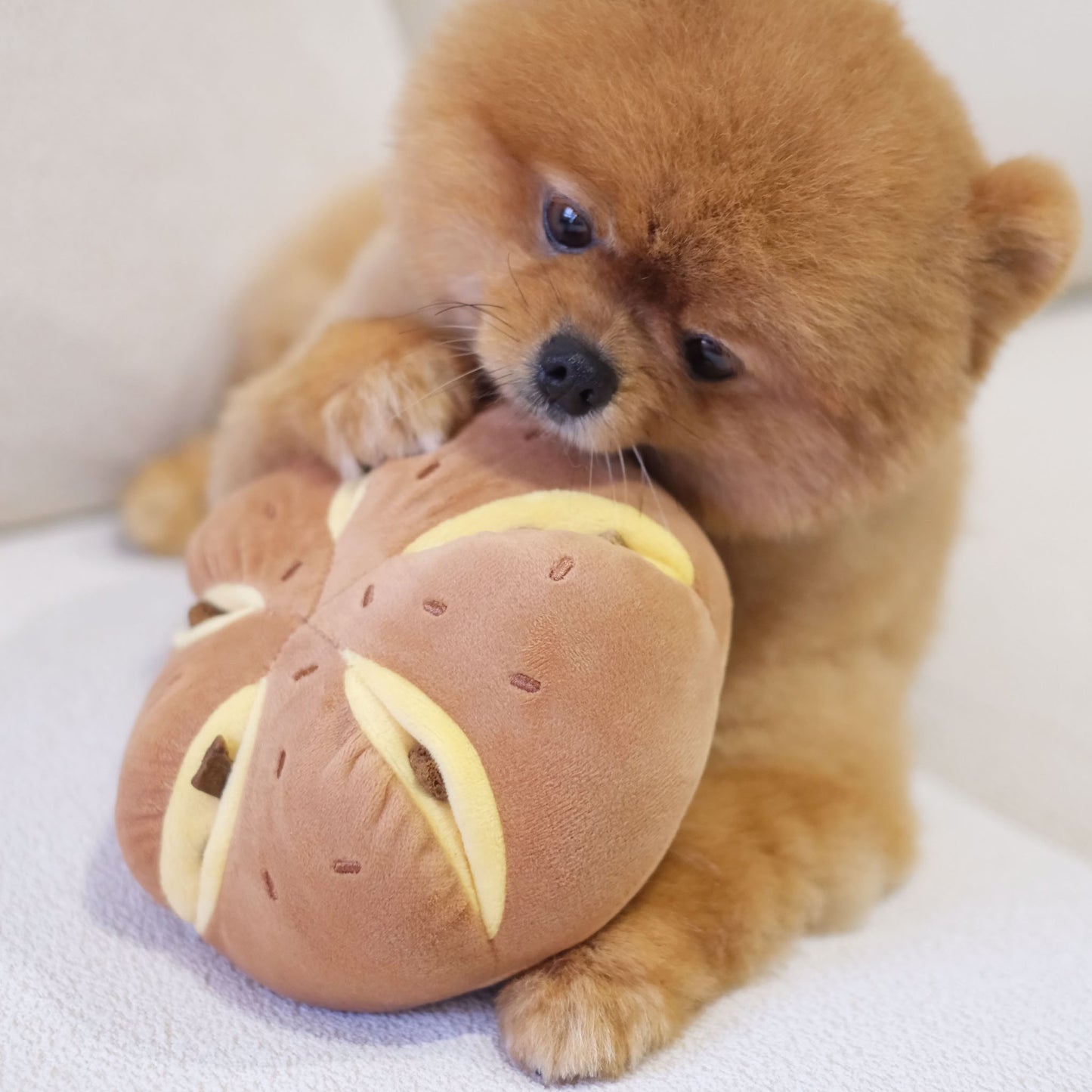 CHEESY BREAD // nosework toy