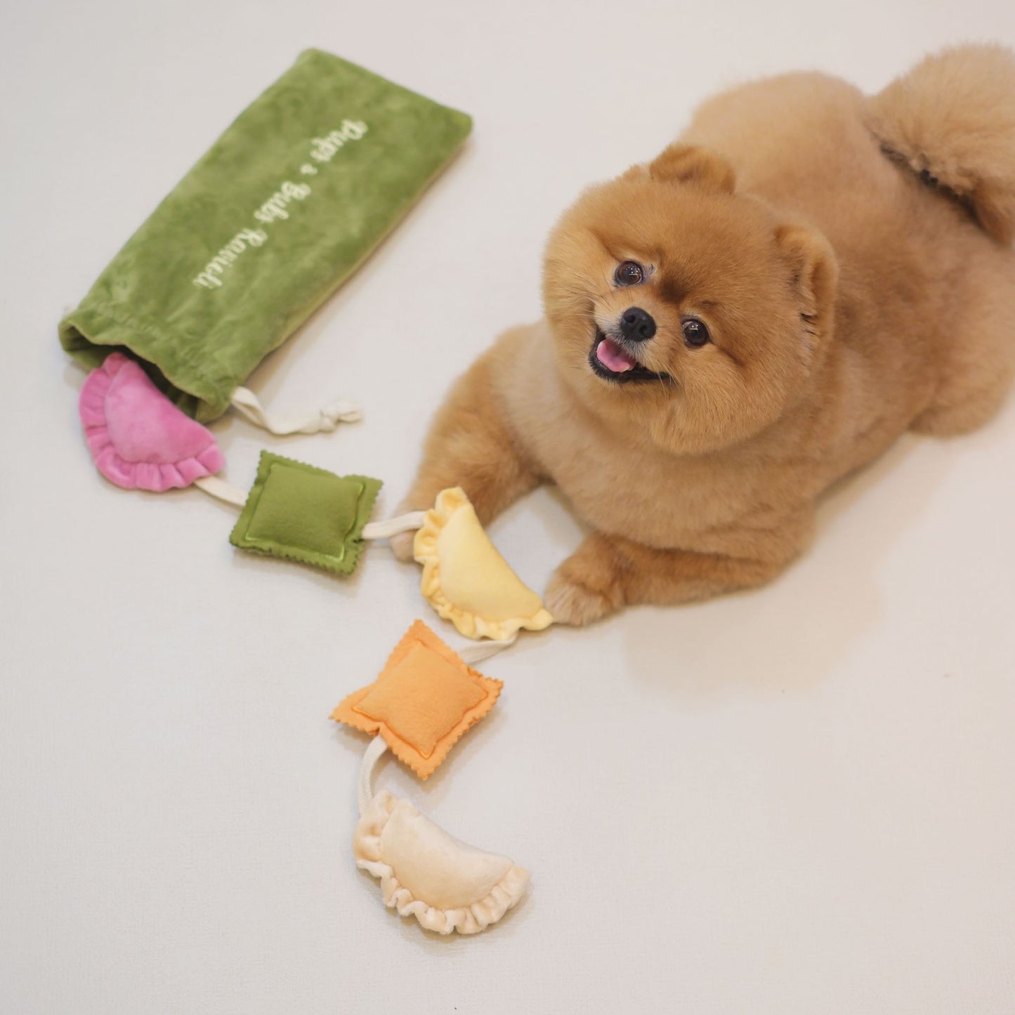 RAVIOLI // nosework toy