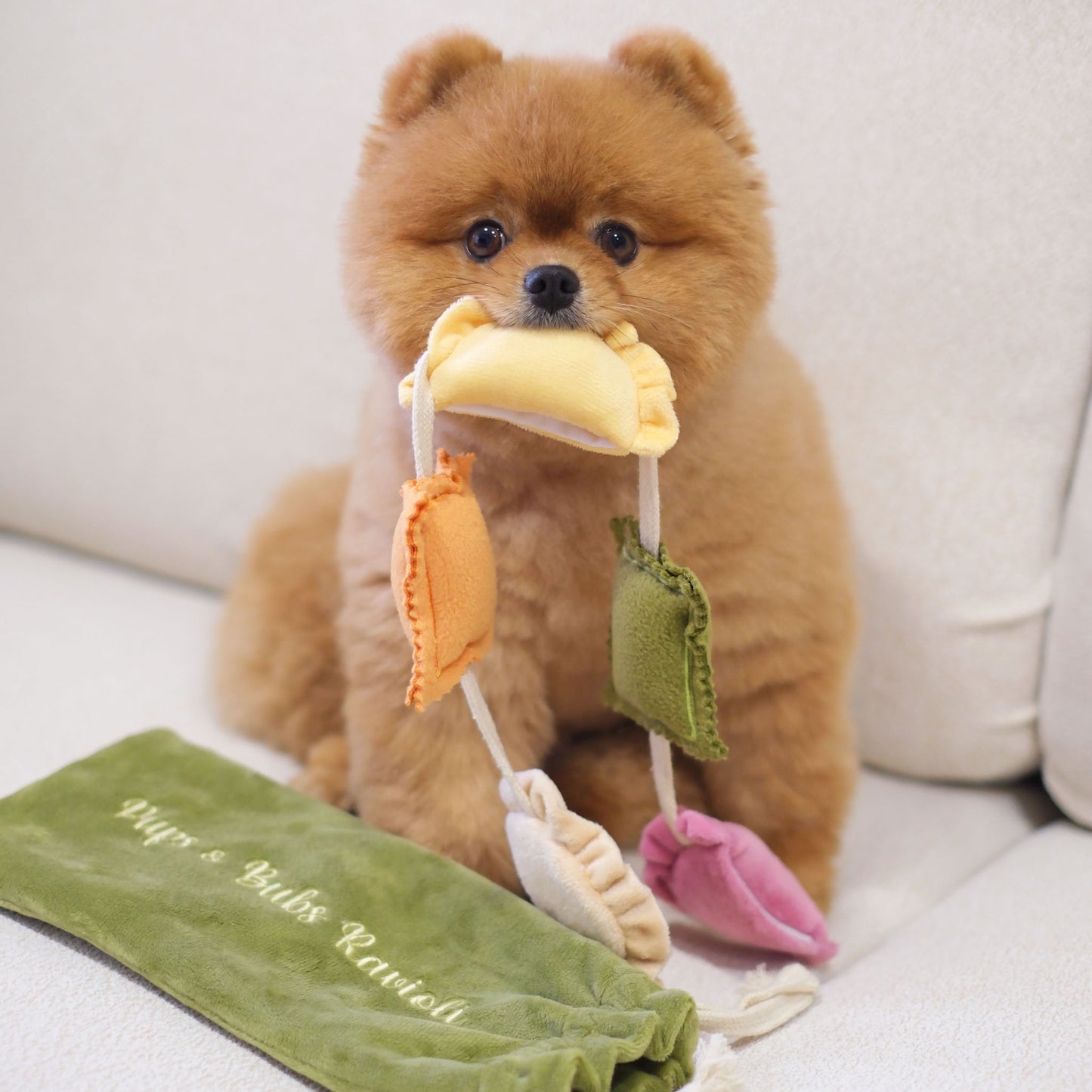RAVIOLI // nosework toy