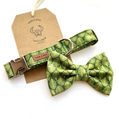 SPRUCE // collar