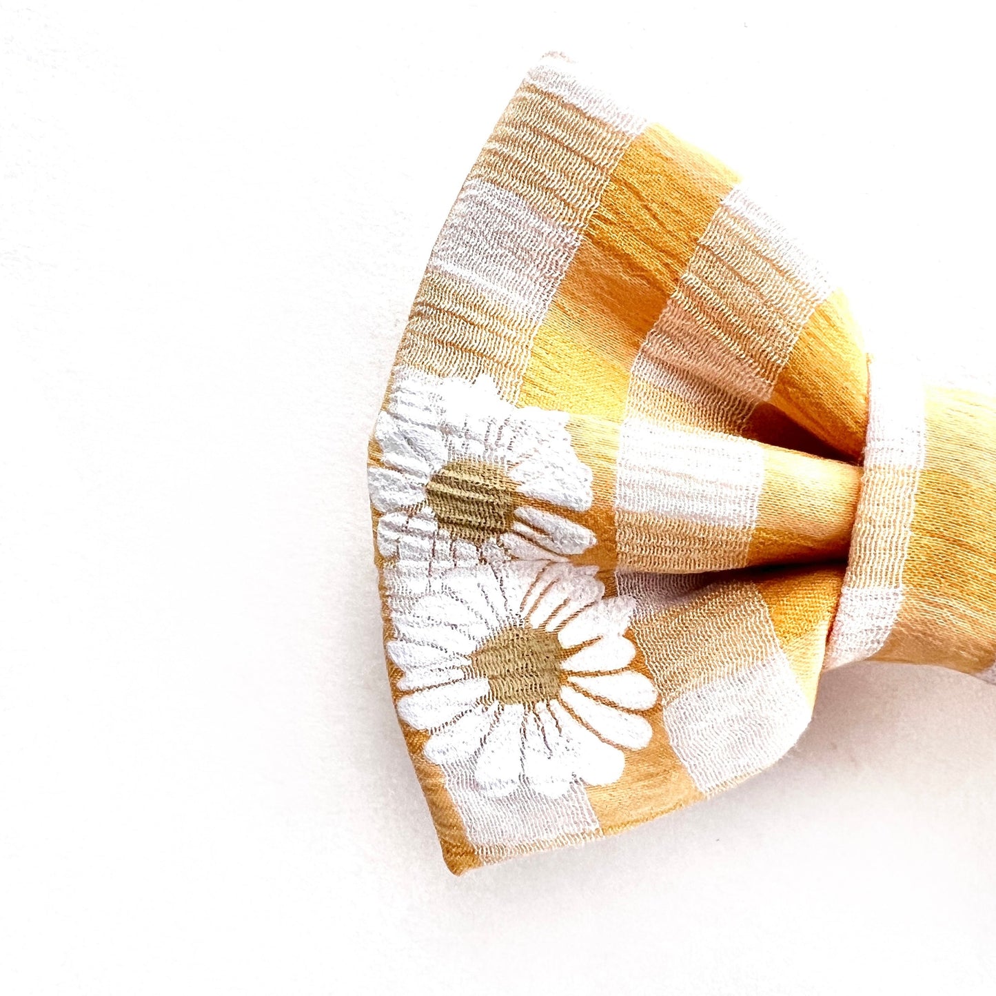 DAISY DAYS SUN // bow