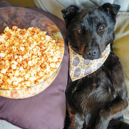 MOVIE NIGHT // bandana
