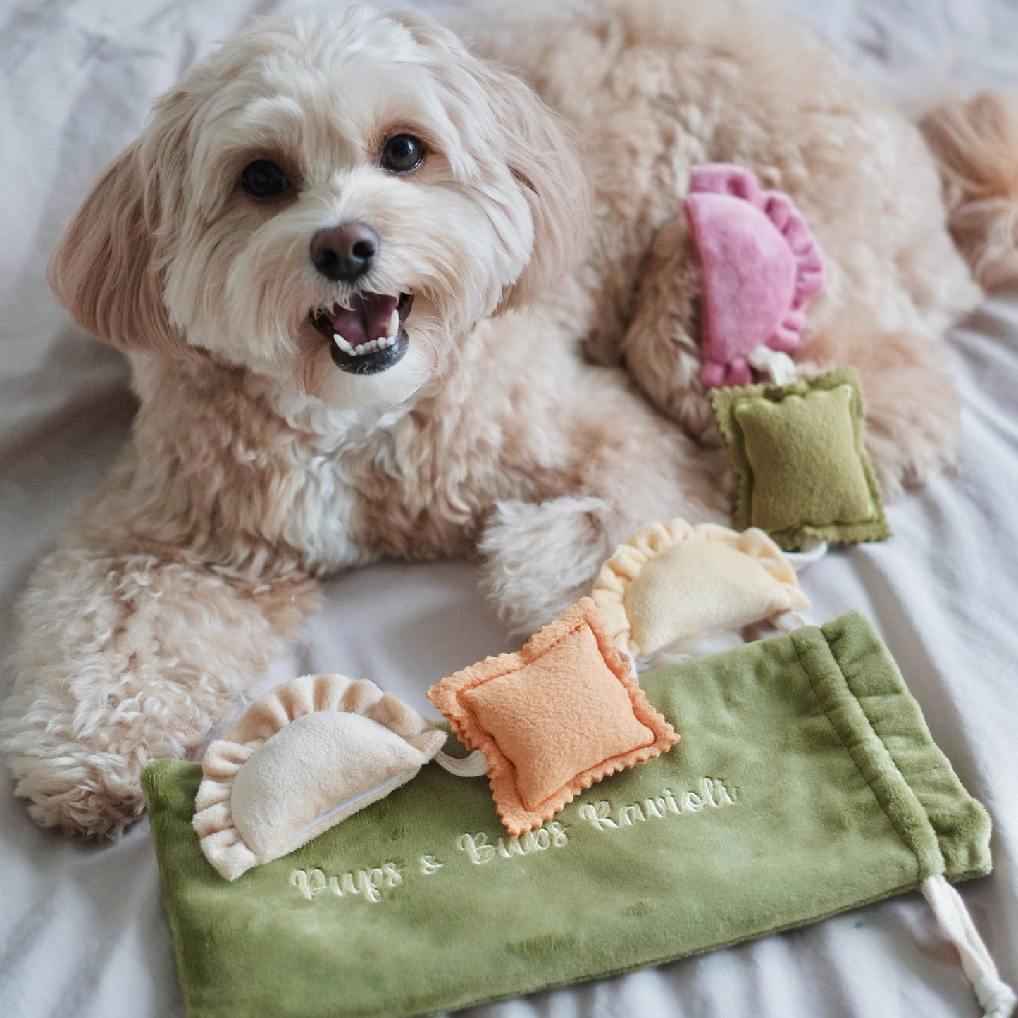 RAVIOLI // nosework toy