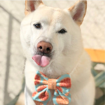 HONEY WAFFLE // bow