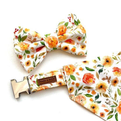 APRICOT POPPY // collar