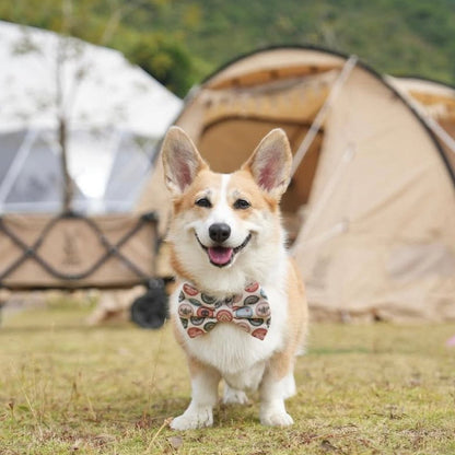 HAPPY CAMPER // bow