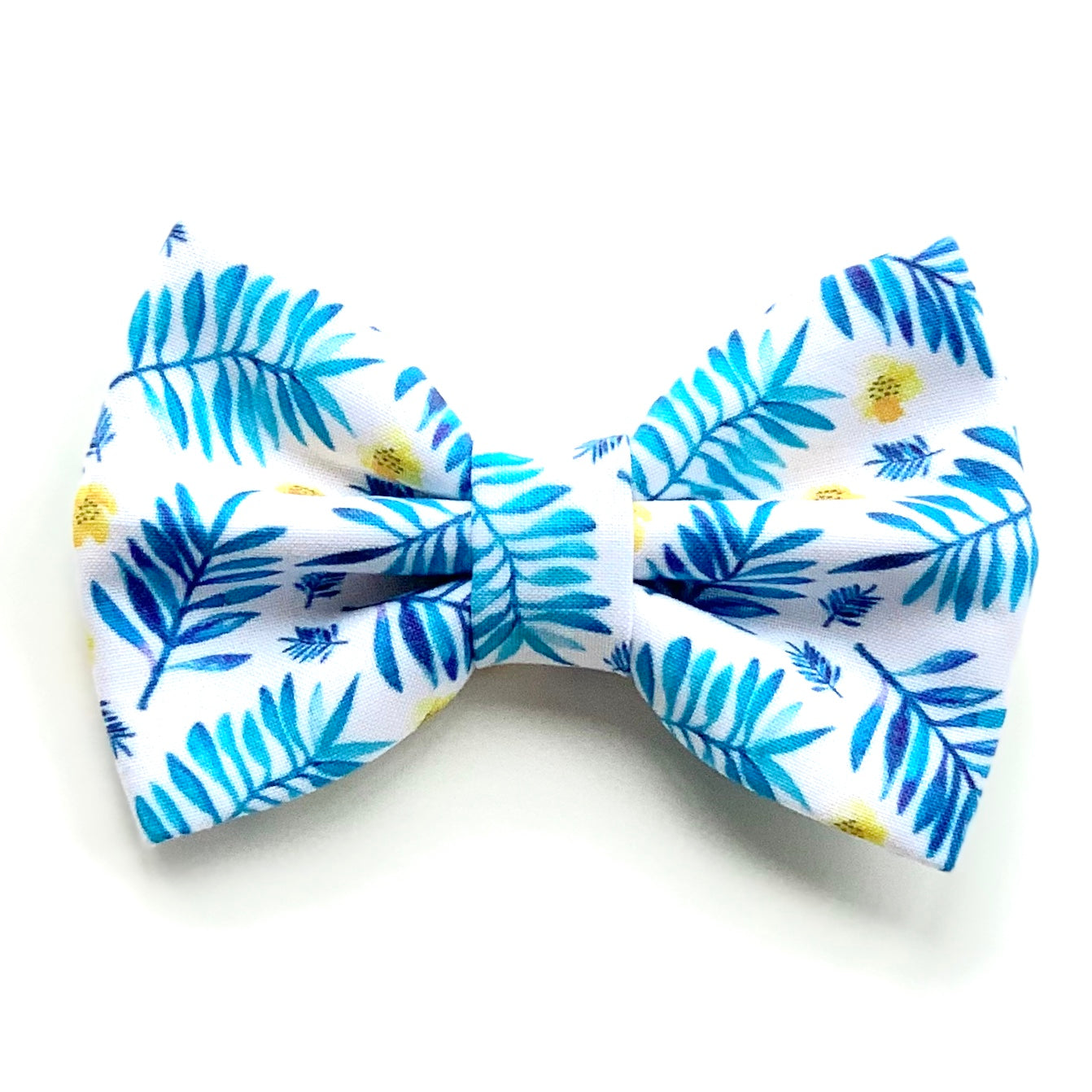 EVERGREEN // bow