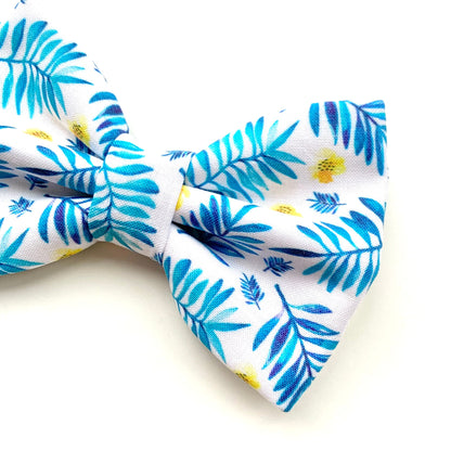 EVERGREEN // bow